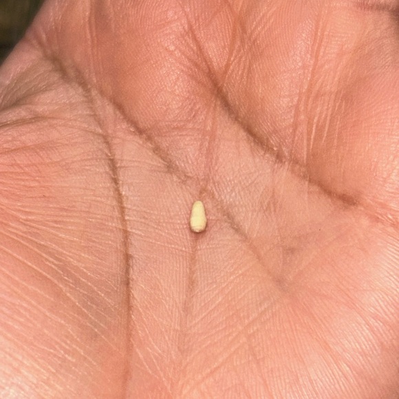 Large Nesting Dolls Set - Picture 7 of 7